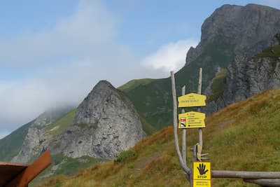 Dekoracyjna ilustracja związana z górami